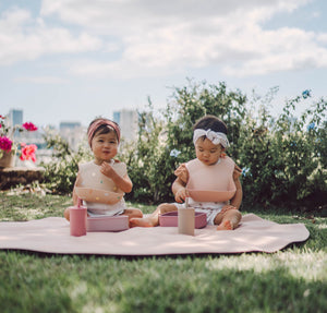 Bento Box - Toddler Travel Snack Container