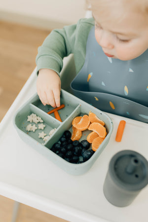 Bento Box - Toddler Travel Snack Container