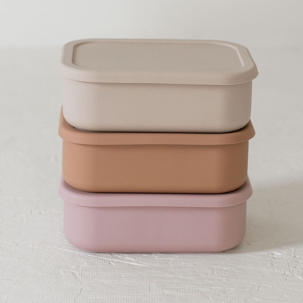 Silicone Bento box