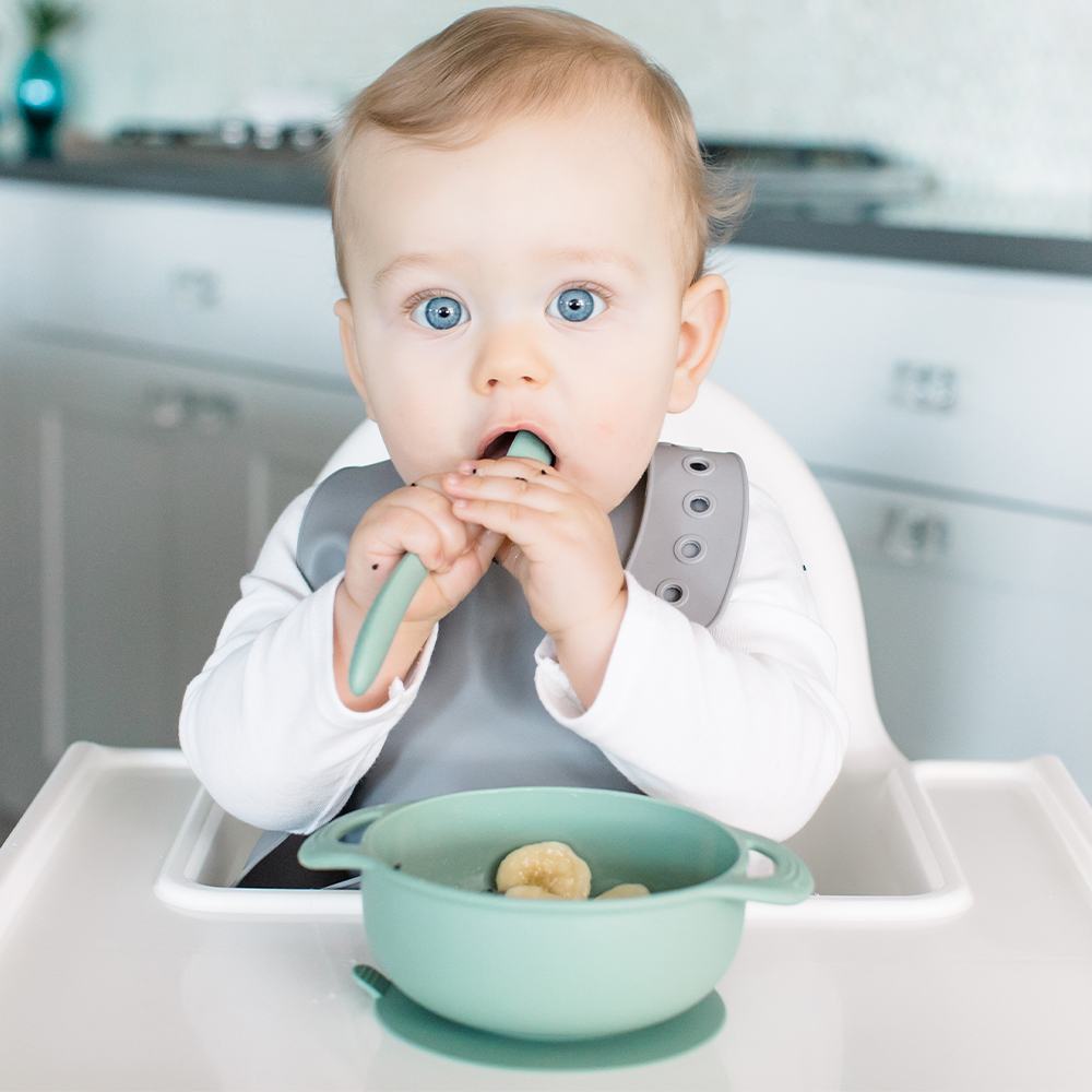 Foodie® Bowl with Lid + Spoon 2-Pack: Sage