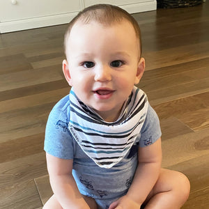 Royal Organic Bandana Bib 4-Pack