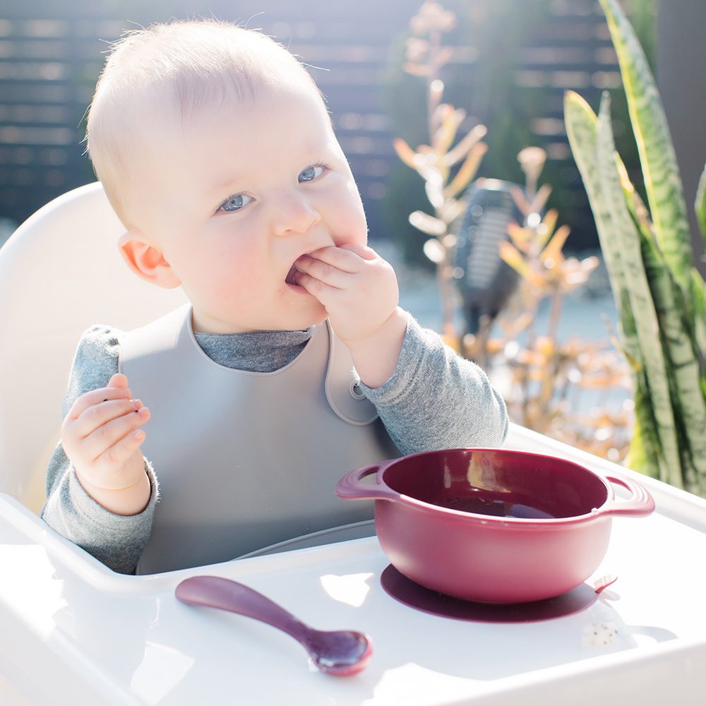 Foodie Silicone Feeding Set by Bazzle Baby (Cranberry)